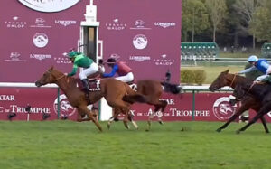 凱旋門賞馬ソットサスが静内に到着 日本で種牡馬入り