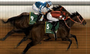 負傷の坂井瑠星がドバイに間に合わなかったらエバヤンとシンエンの鞍上は？