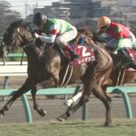 【競馬】皐月賞の上位5人気のオッズってどうなると思う?