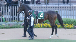 【若葉S】注目のホープフル2着ジョバンニが登場！