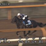 【マーチステークス2025】追い切り/動きからレースを紐解く