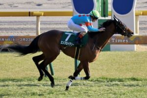 ルメール不在で クイーンC勝馬エンブロイダリーはモレイラで桜花賞へ