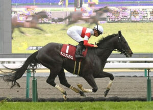 ３歳この時期までのダノンプレミアムは最強だったよな