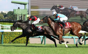 【競馬予想】第43回中山牝馬ステークス(GⅢ) /2025