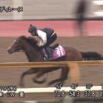【フラワーカップ2025】追い切り/調教を見てわかる事