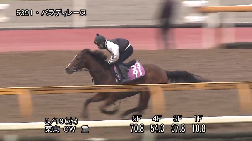 【フラワーカップ2025】追い切り/調教を見てわかる事