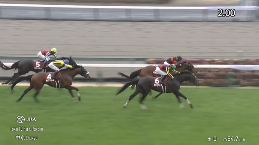【金鯱賞2025】結果・動画/クイーンズウォークがハナ差差し切る