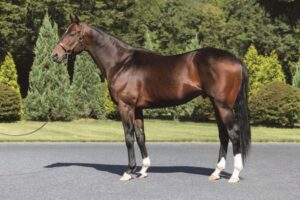 2025種牡馬リーディング7位 リアルスティールすごくね？