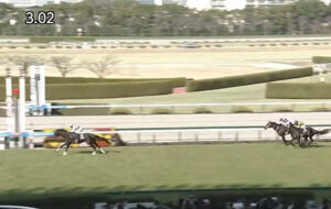 ハヤテノフクノスケ強すぎワロタwww