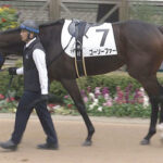 【競馬予想】[1]第39回フラワーカップ(GⅢ) /2025