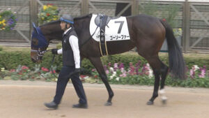 【競馬予想】[1]第39回フラワーカップ(GⅢ) /2025