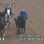 【弥生賞2025】追い切り/調教を見てわかる事