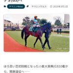 ヤマニンウルスさん　マーチSへ