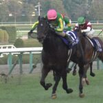 【競馬】朝日杯といい、ホープフルと言いなんで2歳限定G1はレベルが低いのか