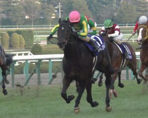 【競馬】朝日杯といい、ホープフルと言いなんで2歳限定G1はレベルが低いのか