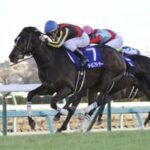 「ホープフルステークスの強さはフラッグでもなんでもない!」