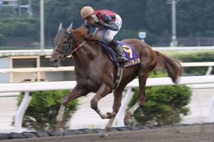 高知競馬のエース、ユメノホノオが韓国遠征ｗｗｗ