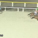 【競馬】ダイオライト記念はデムーロ騎乗のセラフィックコールがV