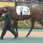 【競馬予想】[1]第74回スプリングステークス(GⅡ) /2025