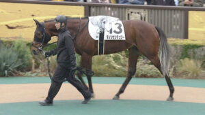 【競馬予想】[1]第74回スプリングステークス(GⅡ) /2025