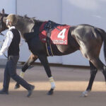 【競馬予想】[1]第73回日経賞(GⅡ) /2025