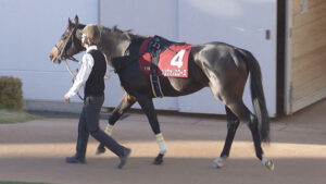 【競馬予想】[1]第73回日経賞(GⅡ) /2025