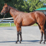 福永厩舎のいっくんのためにいる2歳馬が凄すぎる