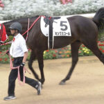 【競馬予想】[2]第74回スプリングステークス(GⅡ) /2025