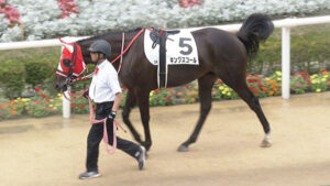 【競馬予想】[2]第74回スプリングステークス(GⅡ) /2025