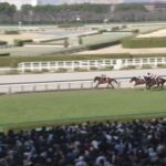 【阪神大賞典2025】結果・動画/サンライズアースが6馬身差圧勝V