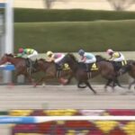 【競馬】コーラルSで3着 ヤマニンウルスは終わったのか?