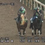 【ファルコンステークス2025】追い切り/抜群の動きを見せたのは