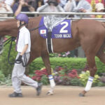 【高松宮記念】トウシンマカオ、せっかくの中京良馬場も活かせず