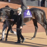 【競馬予想】[1]第62回弥生賞ディープインパクト記念(GII) /2025