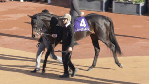 【競馬予想】[1]第62回弥生賞ディープインパクト記念(GII) /2025