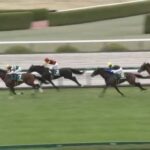 【競馬】毎日杯は北村宏騎乗ファンダムがV