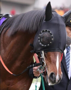 パシュファイヤーって効果あるの？