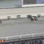 【黒船賞2025】結果・動画/シャマルが圧勝で3連覇達成