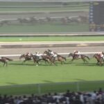 【ダービー卿CT 2025】出走予定馬・騎手/狂瀾怒濤