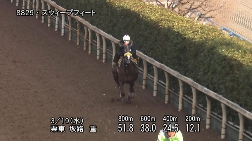 【愛知杯2025】追い切り/動きを見極め勝利に近づけ