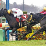 【スプリングS】ピコチャンブラックが先行押し切りV!重賞制覇