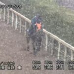 【阪神大賞典2025】追い切り/動きからレースを紐解く