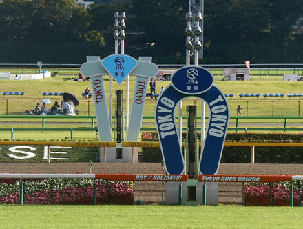 秋天で1番強かった馬って