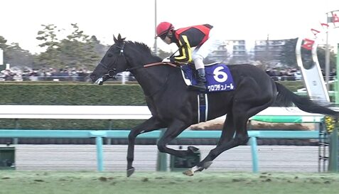 クロワデュノール強すぎワロタ