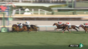 【オーシャンS】ママコチャ強すぎワロタwww