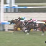 ここ5年のチューリップ賞の武豊騎手 他