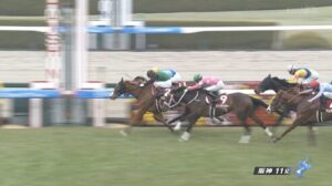 【チューリップ賞】クリノメイ＆酒井騎手がｷﾀ━━━━(ﾟ∀ﾟ)━━━━!!