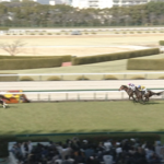 【阪神競馬場リニューアルオープン記念】ハヤテノフクノスケがキタ━━━━(゚∀゚)━━━━!!