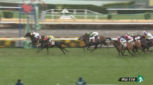 【スプリングS】ピコチャンブラック＆石橋脩騎手がｷﾀ━━━━(ﾟ∀ﾟ)━━━━!!