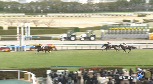 【阪神スプリングJ】ヴェイルネビュラ&五十嵐雄祐騎手がキタ━━━━(゚∀゚)━━━━!!